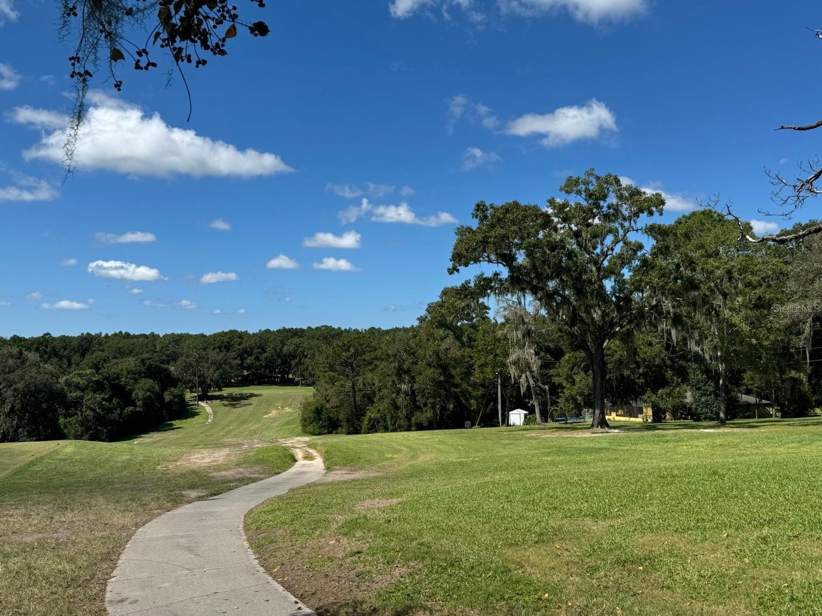 9367 N Fairy Lilly Drive Citrus Springs FL 34433 O6384114 image6