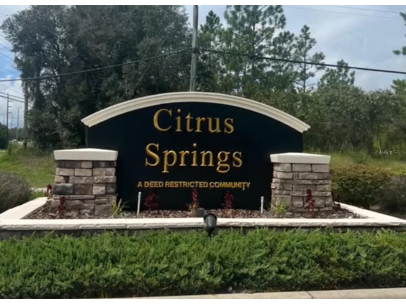 9367 N Fairy Lilly Drive Citrus Springs FL 34433 O6384114 image9