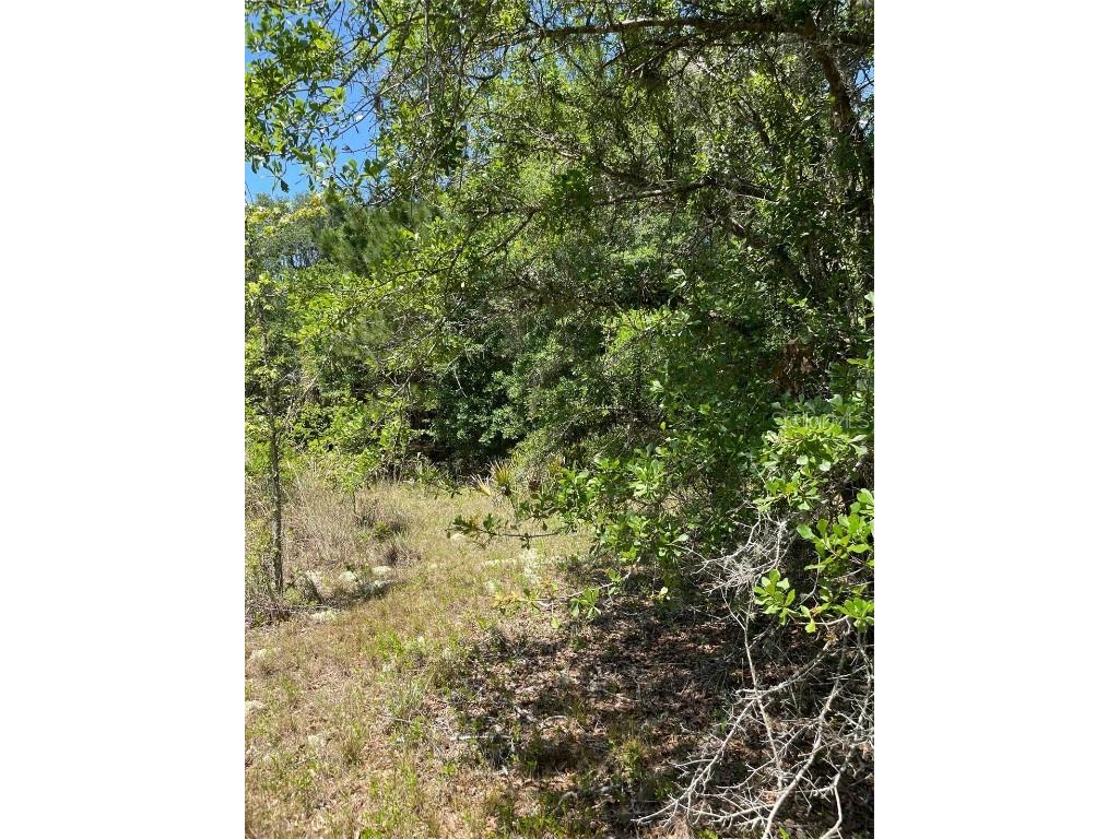 9368 E Riveroak Lane Inverness FL 34453 U8160028 image3