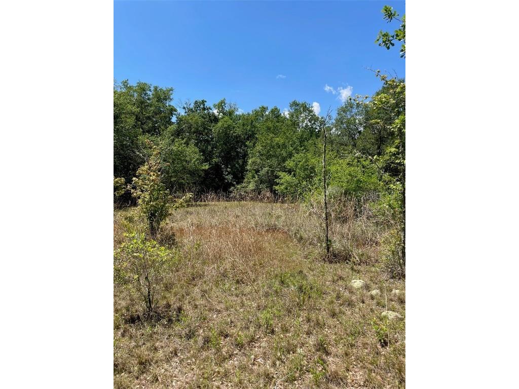 9368 E Riveroak Lane Inverness FL 34453 U8160028 image4