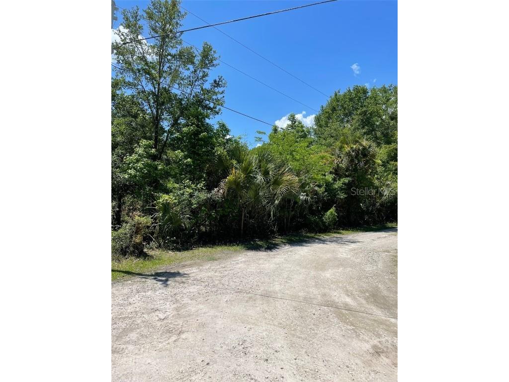 9368 E Riveroak Lane Inverness FL 34453 U8160028 image5