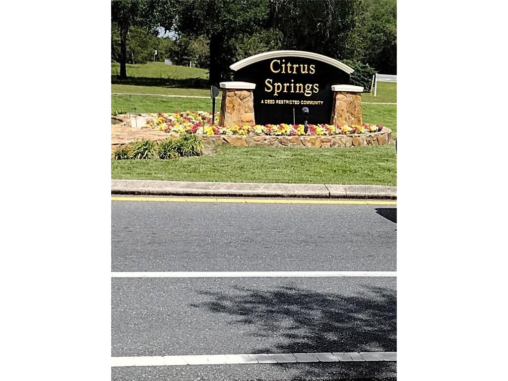 9368 N Samoa Way #16 Citrus Springs FL 34433 OM637181 image1