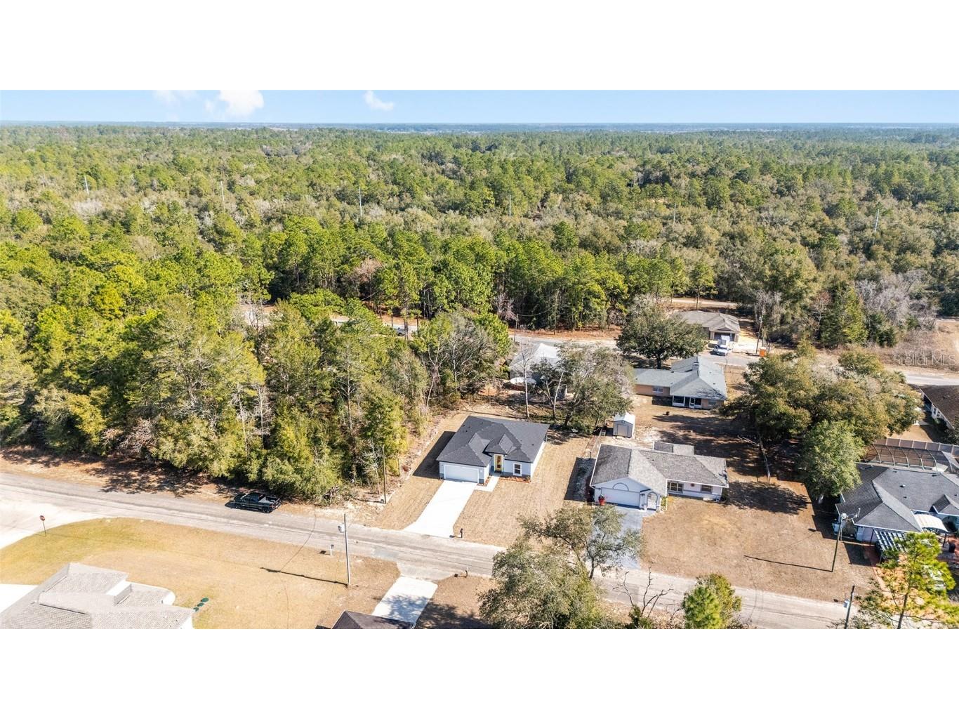 9371 N Akola Way Citrus Springs FL 34434 O6276668 image44