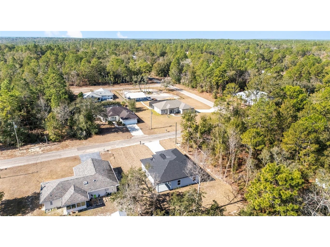 9371 N Akola Way Citrus Springs FL 34434 O6276668 image47