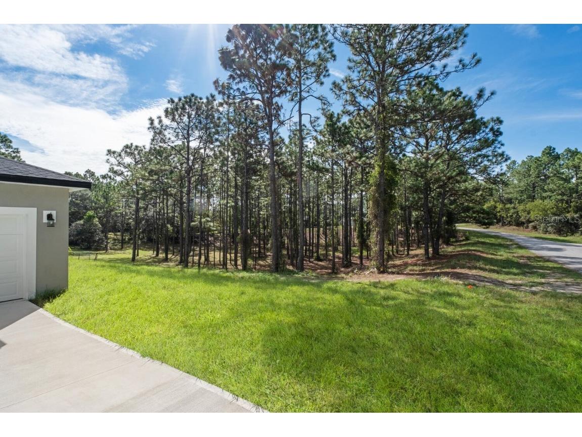 9371 N Cougar Paw Drive Dunnellon FL 34433 O6344425 image5