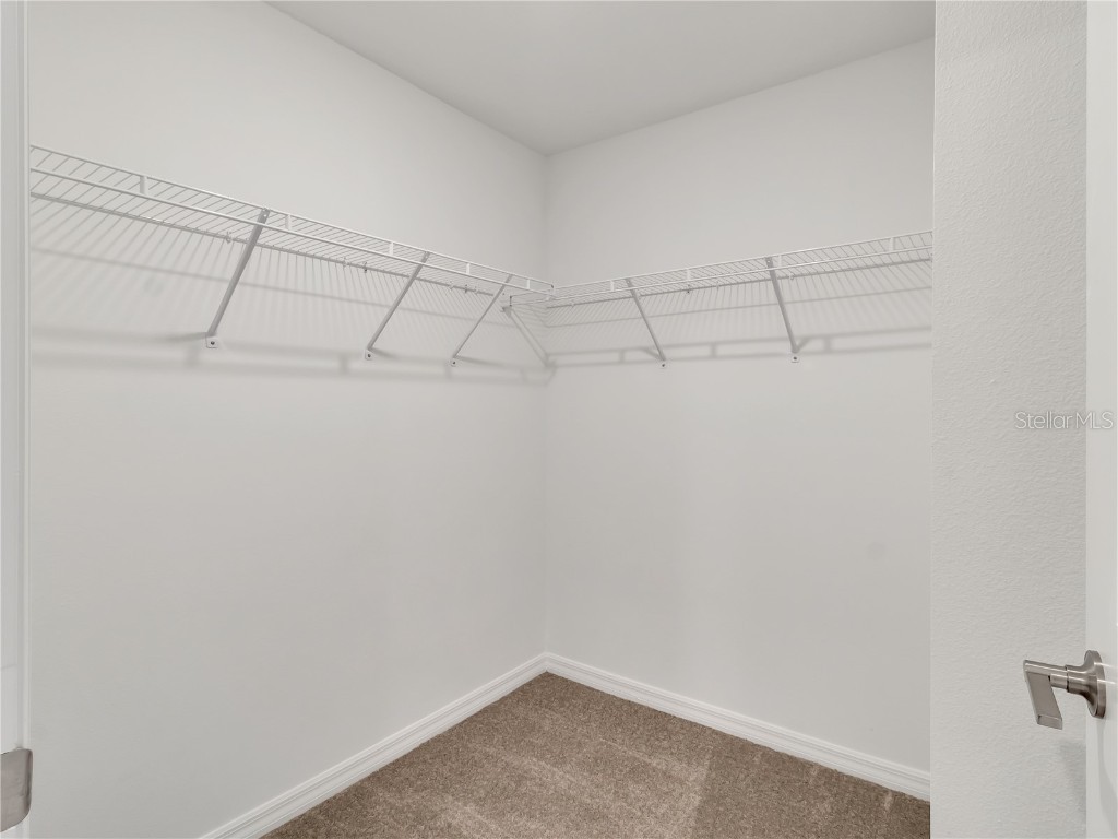 9375 Cannon Beach Drive Parrish FL 34219 TB8416557 image21