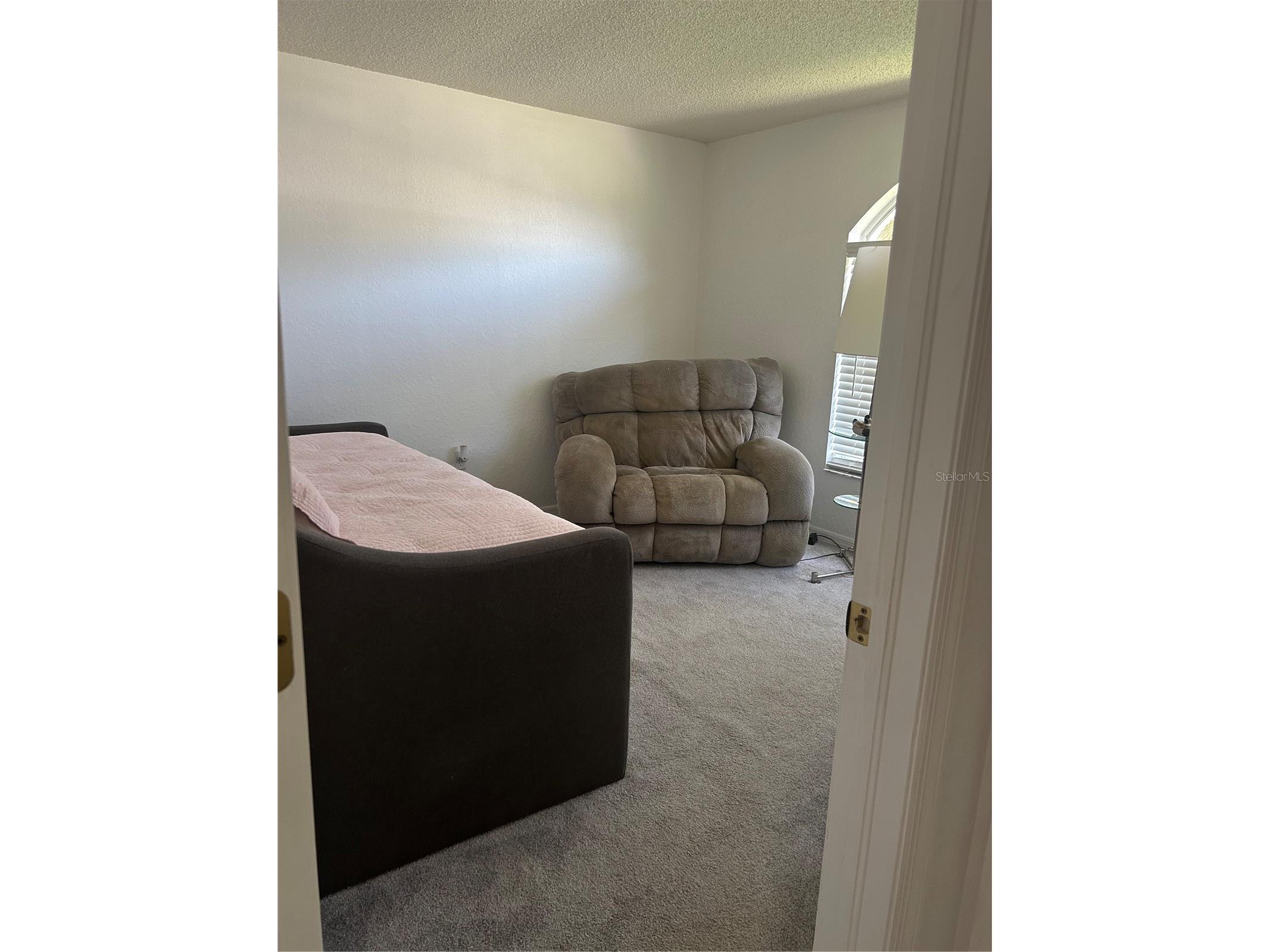 9376 Southern Belle Drive Weeki Wachee FL 34613 W7885978 image12