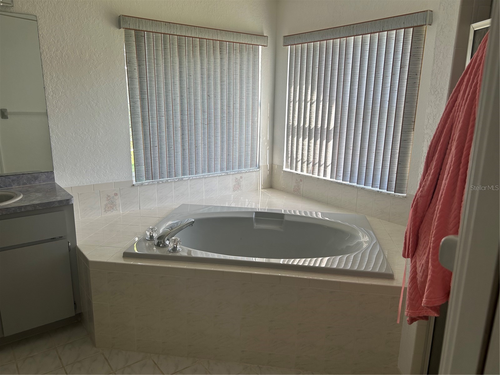 9376 Southern Belle Drive Weeki Wachee FL 34613 W7885978 image8
