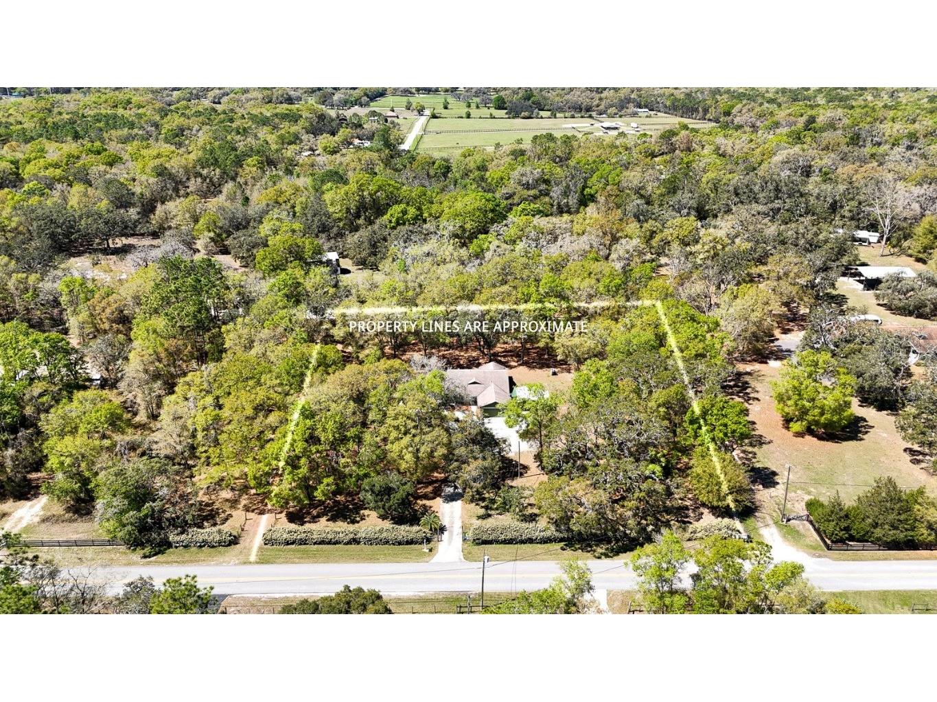 9377 Preston Road Brooksville FL 34601 TB8355451 image1