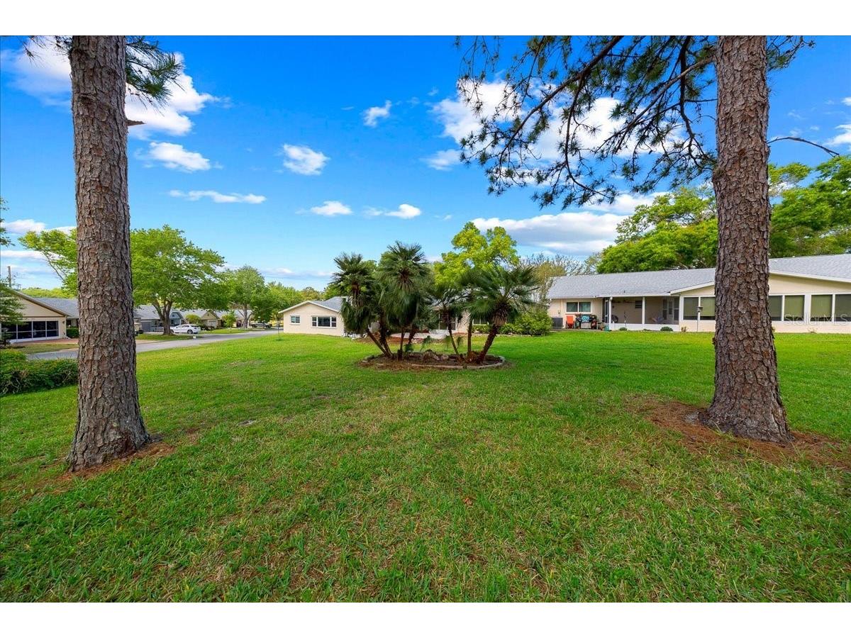 9377 SW 90th Court #E Ocala FL 34481 OM721029 image57