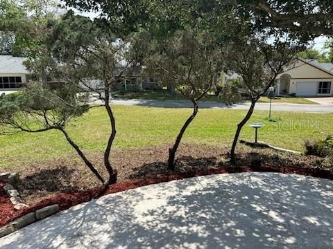 9377 SW 90th Court #E Ocala FL 34481 OM721029 image63