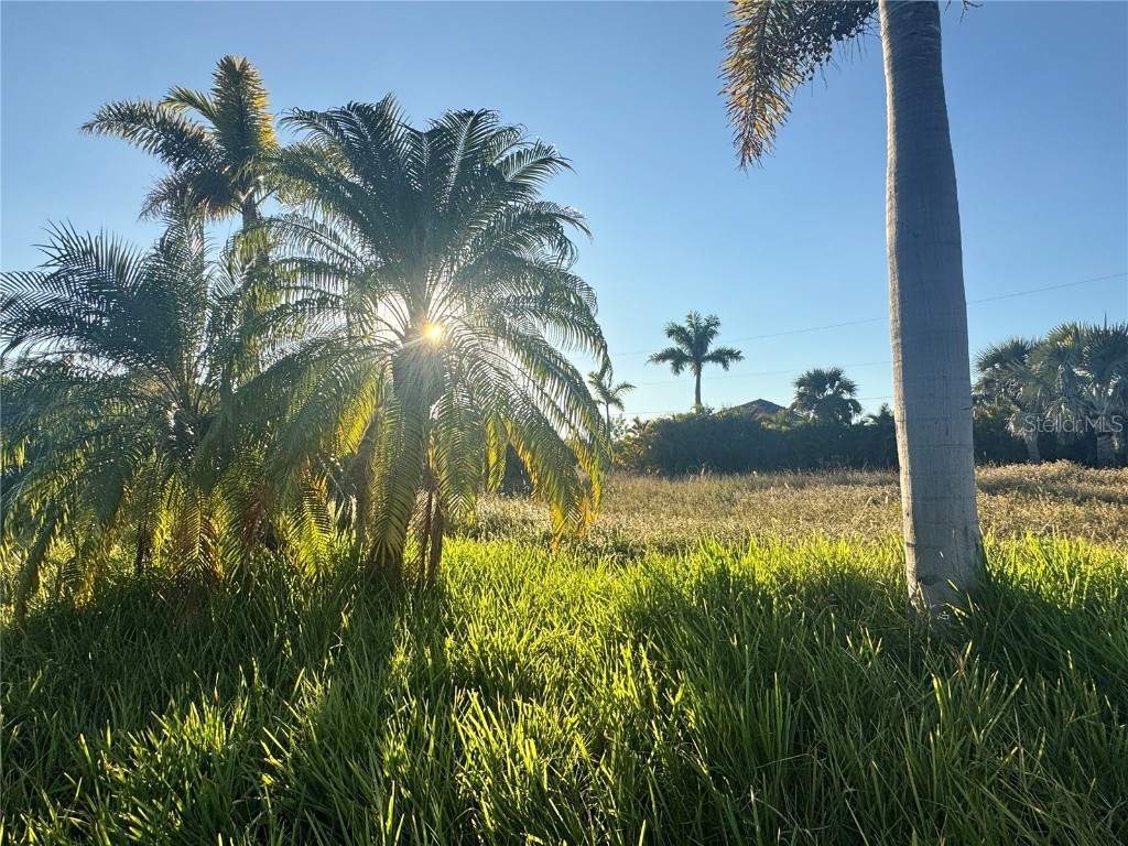 9378 Melody Circle Port Charlotte FL 33981 - IMPALA WATERWAY D6144908 image5