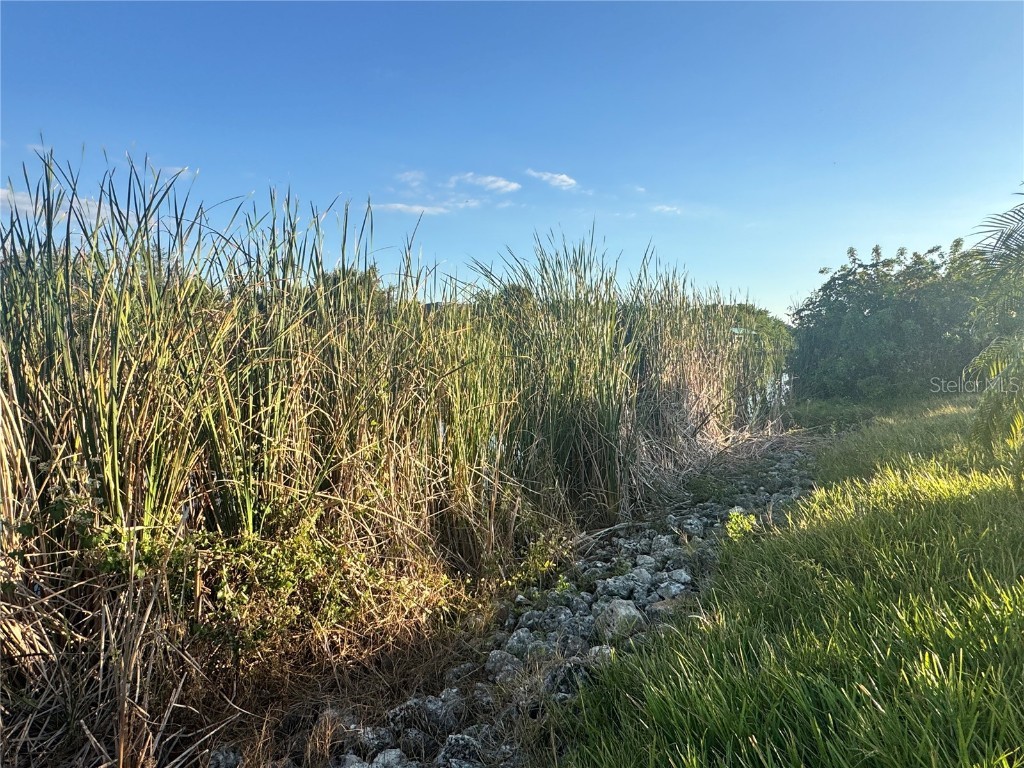 9378 Melody Circle Port Charlotte FL 33981 - IMPALA WATERWAY D6144908 image7