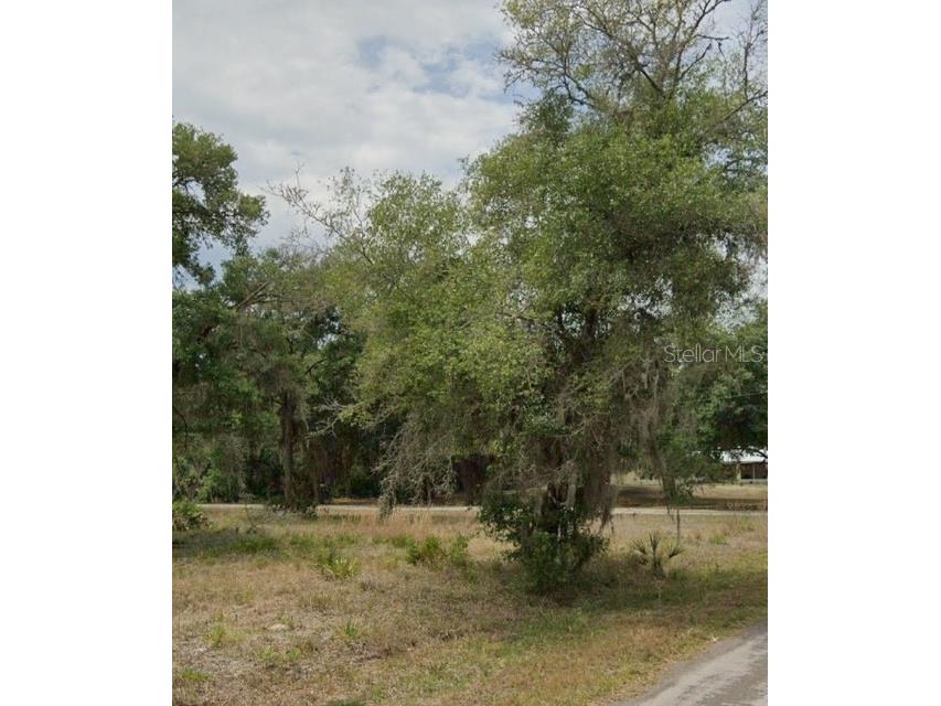 9379 N Bromeliad Terrace Crystal River FL 34428 TB8399515 image1