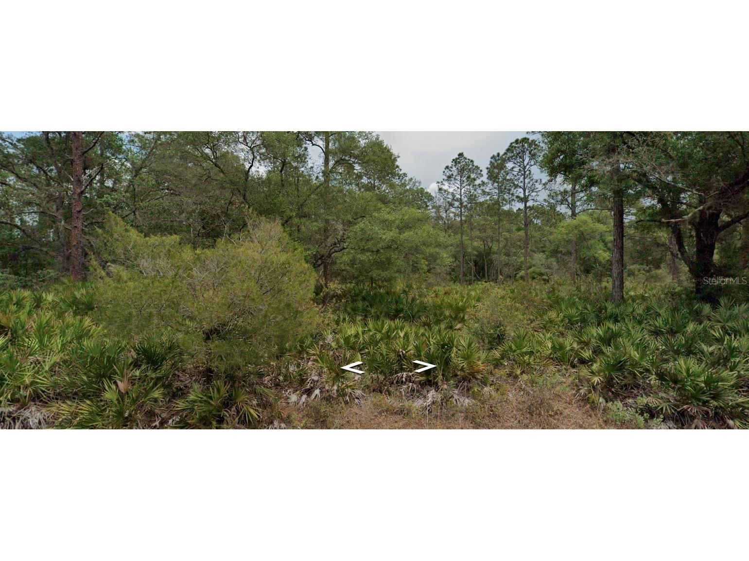 9379 N Bromeliad Terrace Crystal River FL 34428 TB8399515 image10