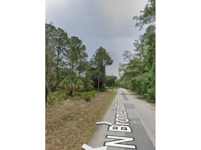 9379 N Bromeliad Terrace Crystal River FL 34428 TB8399515 image11