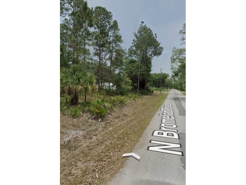 9379 N Bromeliad Terrace Crystal River FL 34428 TB8399515 image12