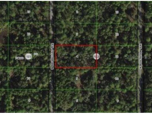 9379 N Bromeliad Terrace Crystal River FL 34428 TB8399515 image13