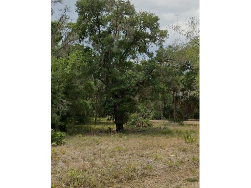 9379 N Bromeliad Terrace Crystal River FL 34428 TB8399515 image2