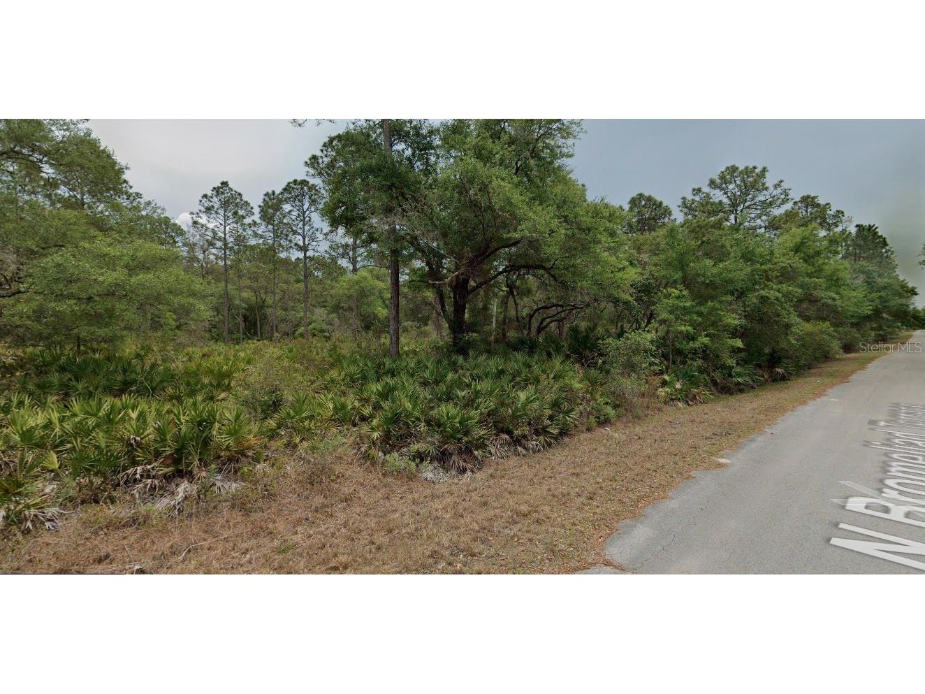 9379 N Bromeliad Terrace Crystal River FL 34428 TB8399515 image3