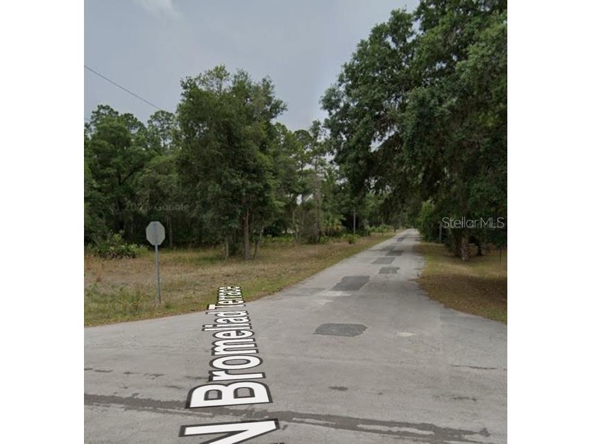 9379 N Bromeliad Terrace Crystal River FL 34428 TB8399515 image5