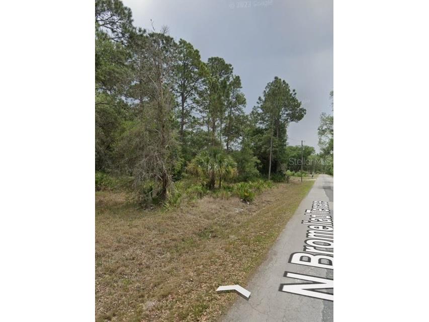 9379 N Bromeliad Terrace Crystal River FL 34428 TB8399515 image7