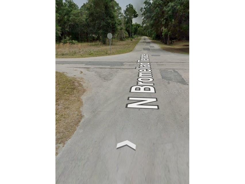 9379 N Bromeliad Terrace Crystal River FL 34428 TB8399515 image8