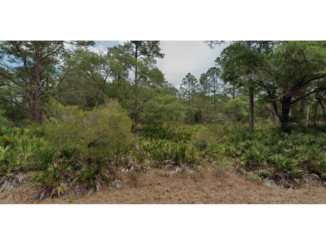 9379 N Bromeliad Terrace Crystal River FL 34428 TB8399515 image9