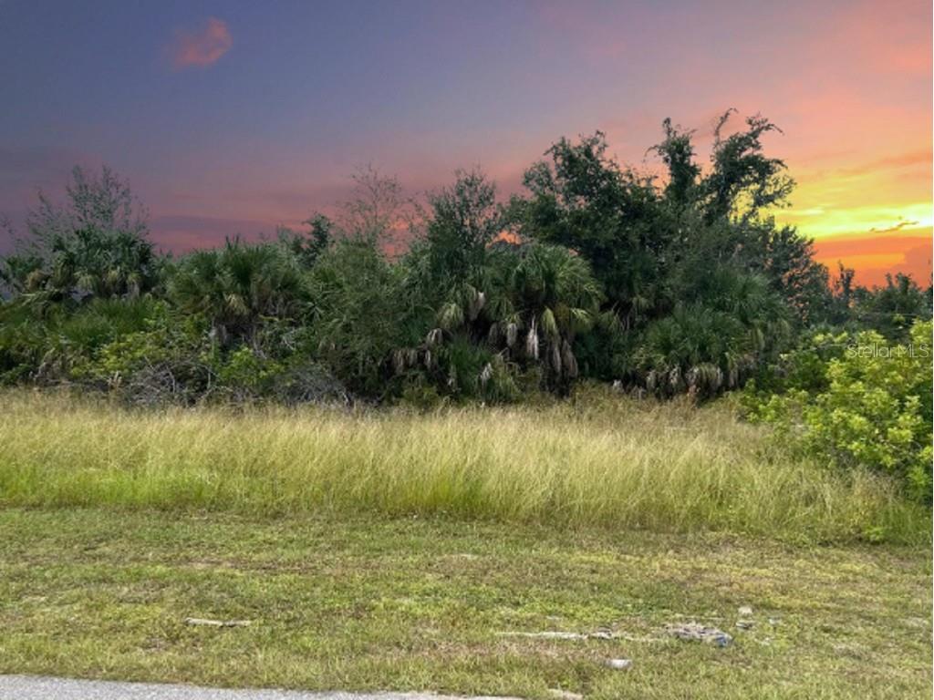 9379 Snapper Circle Port Charlotte FL 33981 C7481919 image1