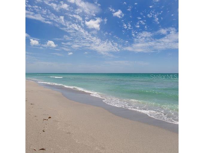 938 E Venice Avenue Venice FL 34285 N6127550 image15