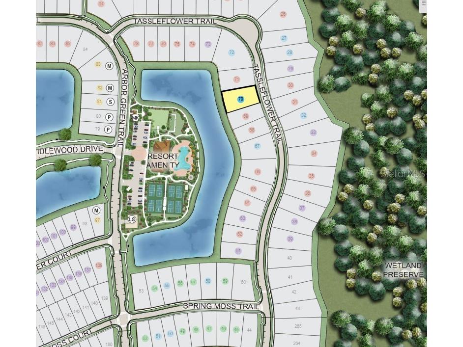 938 Tassleflower Trail Saint Cloud FL 34771 O6324667 image32