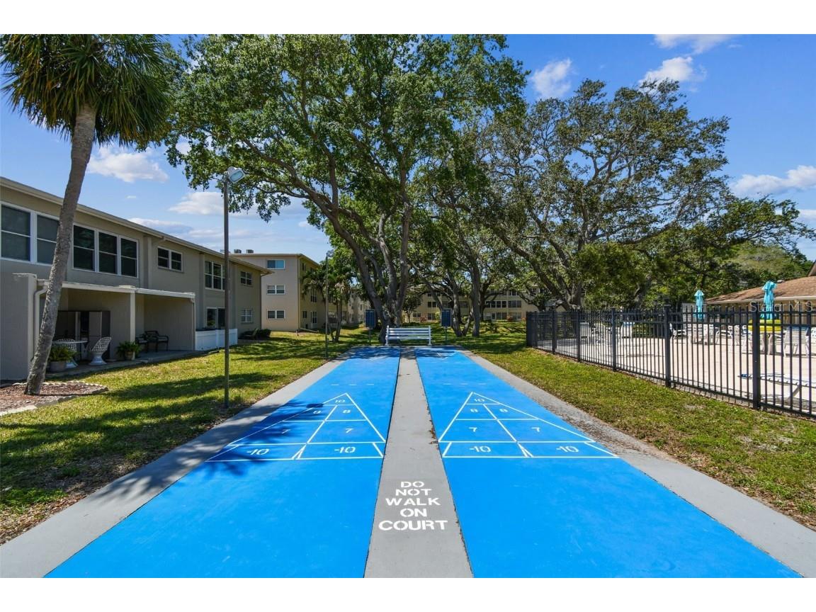 938 Virginia Street #208 Dunedin FL 34698 TB8374894 image13