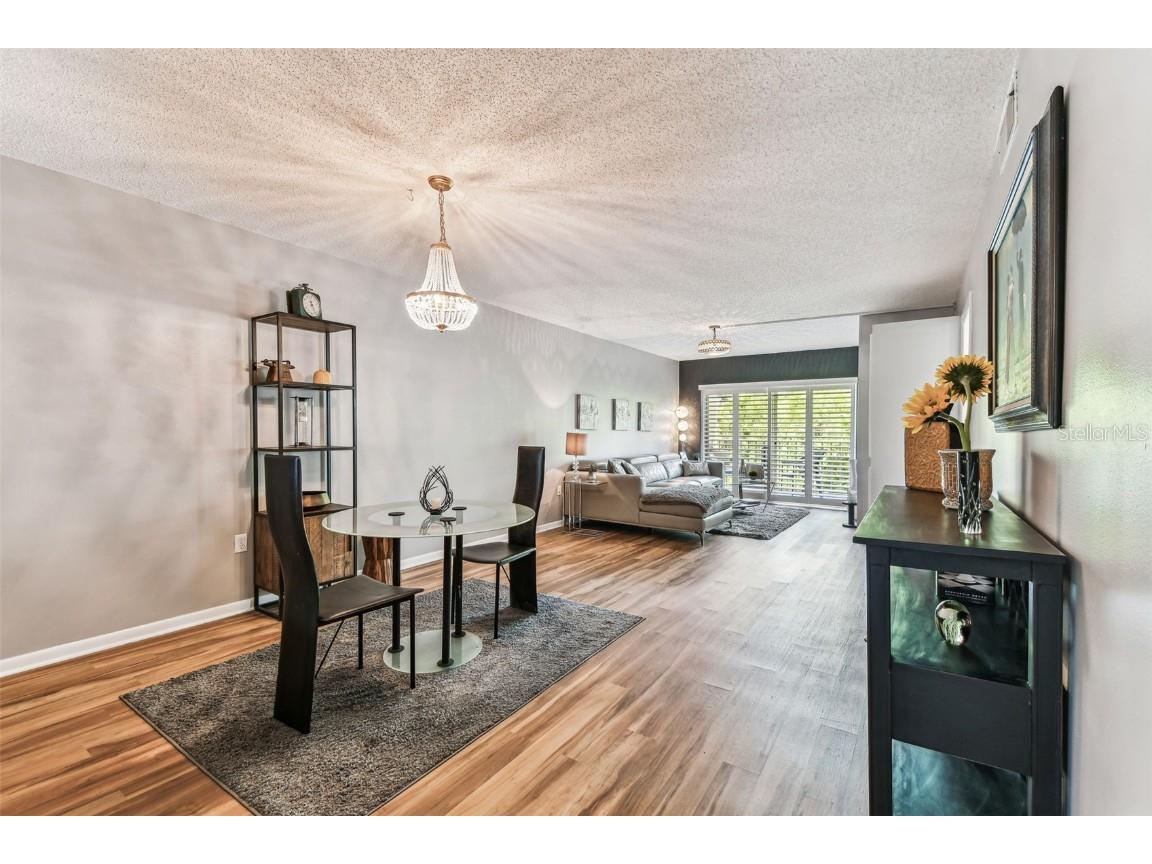 938 Virginia Street #208 Dunedin FL 34698 TB8374894 image20