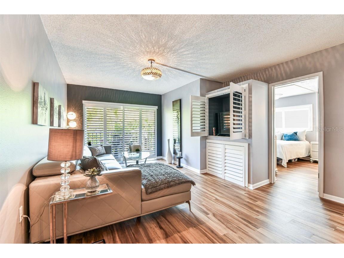 938 Virginia Street #208 Dunedin FL 34698 TB8374894 image23