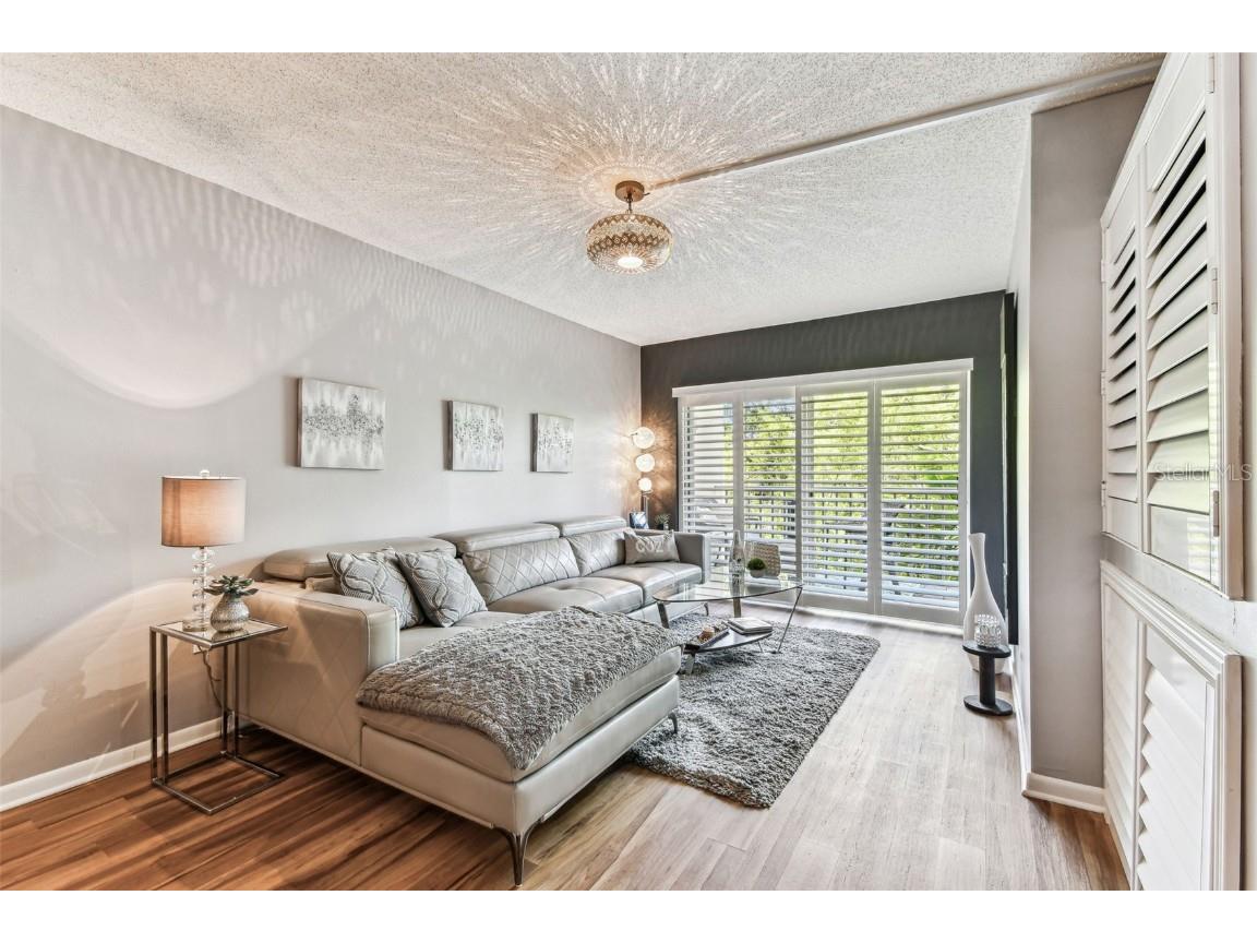 938 Virginia Street #208 Dunedin FL 34698 TB8374894 image24