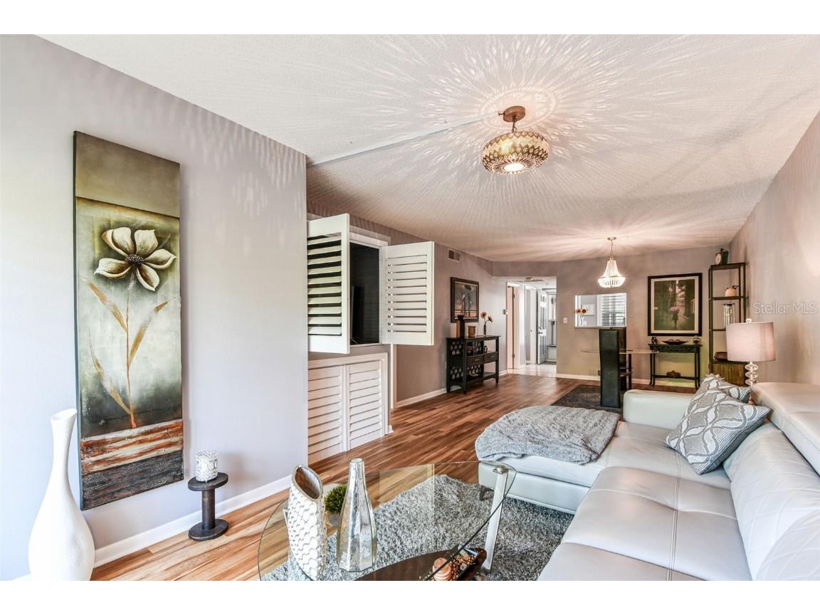 938 Virginia Street #208 Dunedin FL 34698 TB8374894 image26