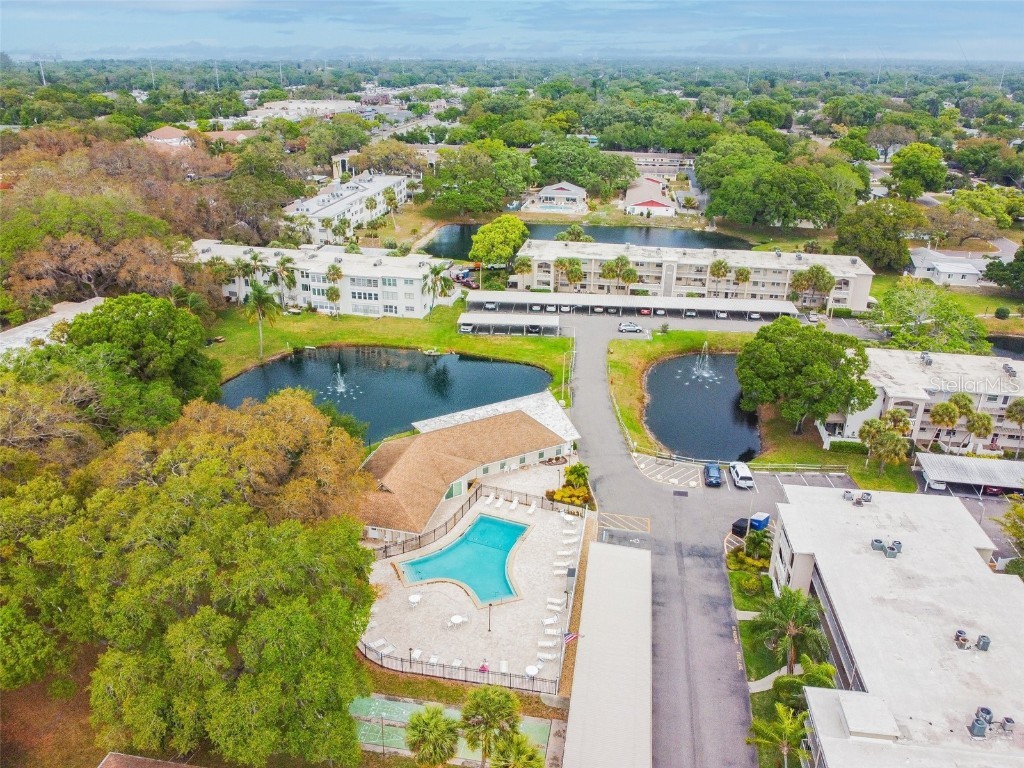 938 Virginia Street #208 Dunedin FL 34698 TB8374894 image49