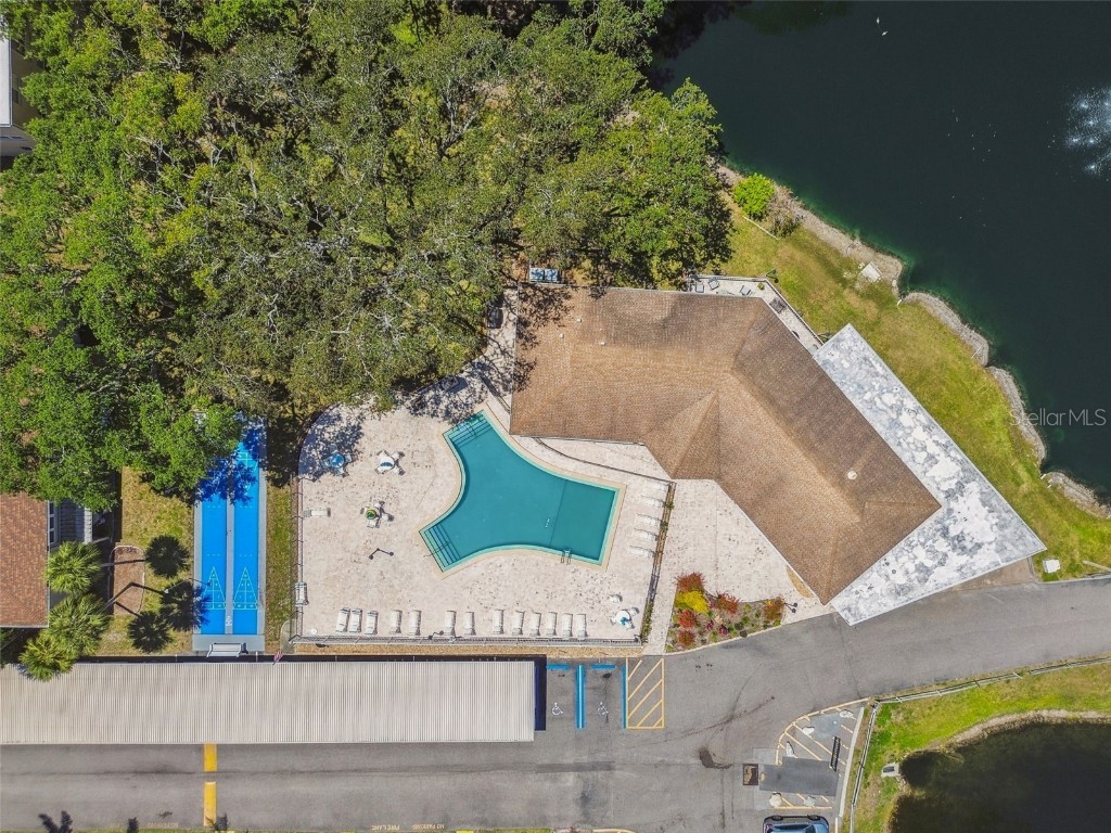 938 Virginia Street #208 Dunedin FL 34698 TB8374894 image53