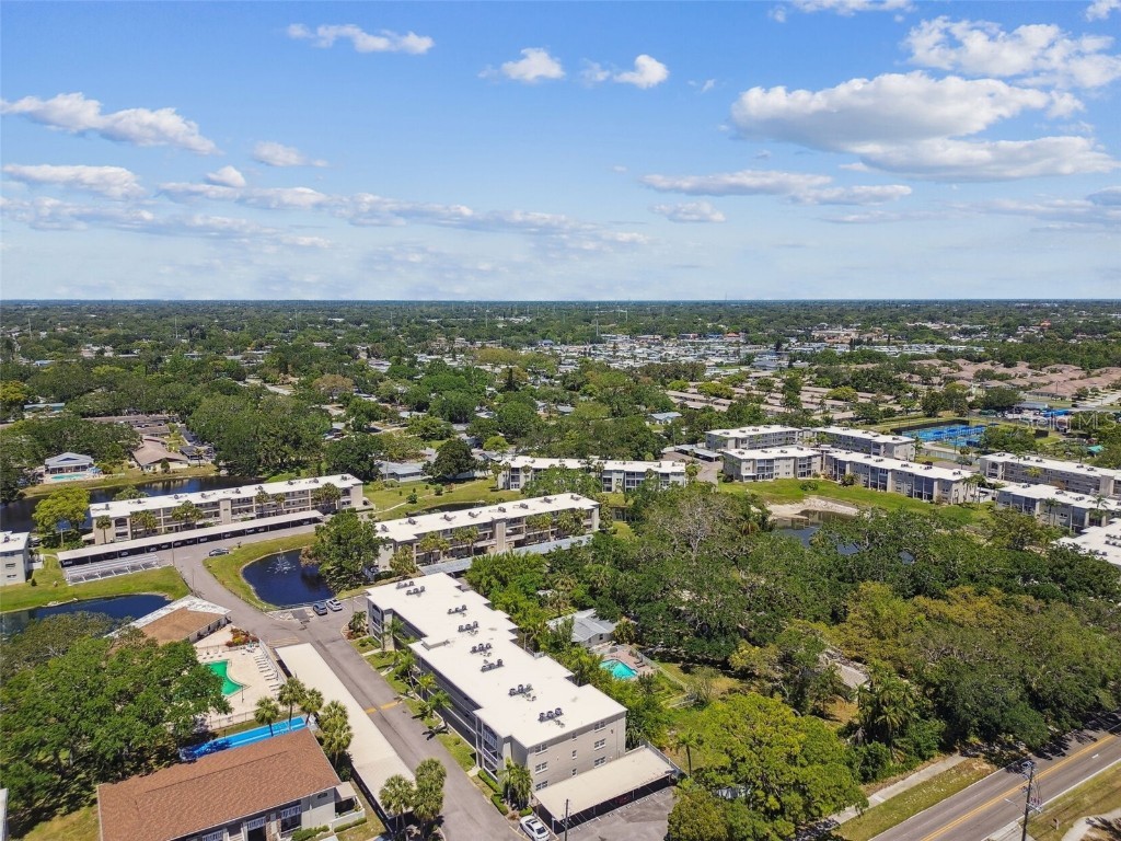 938 Virginia Street #208 Dunedin FL 34698 TB8374894 image68