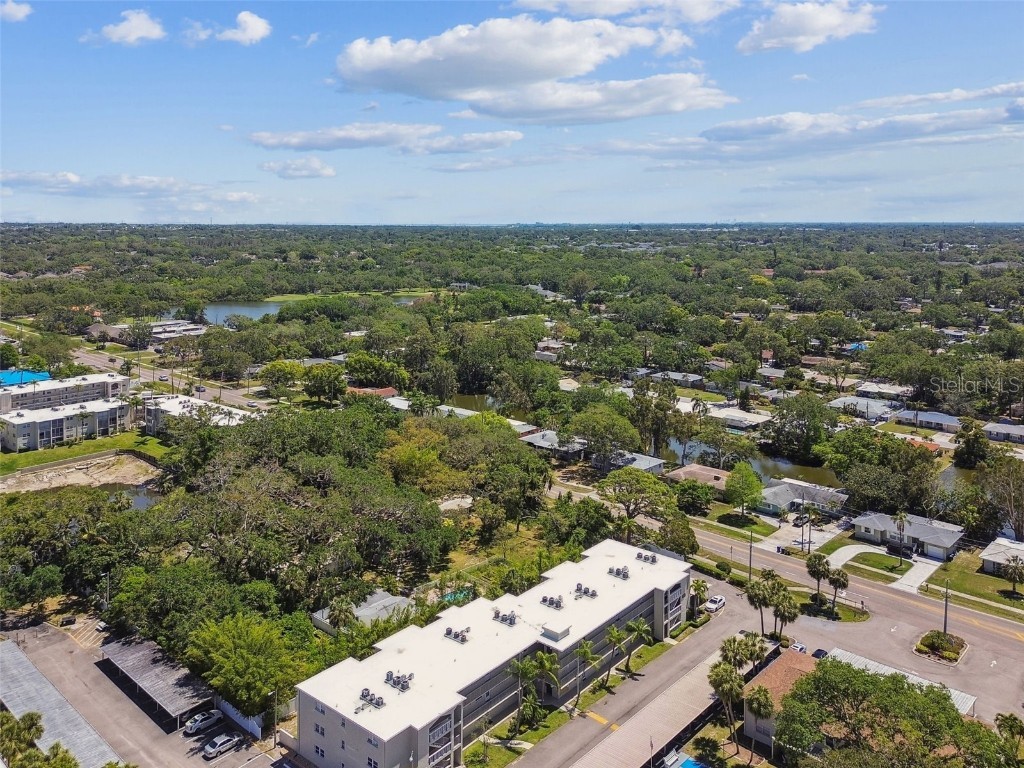 938 Virginia Street #208 Dunedin FL 34698 TB8374894 image69