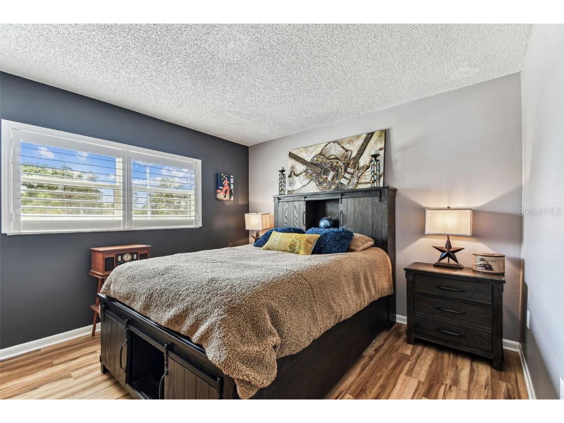 938 Virginia Street #208 Dunedin FL 34698 TB8374894 image9