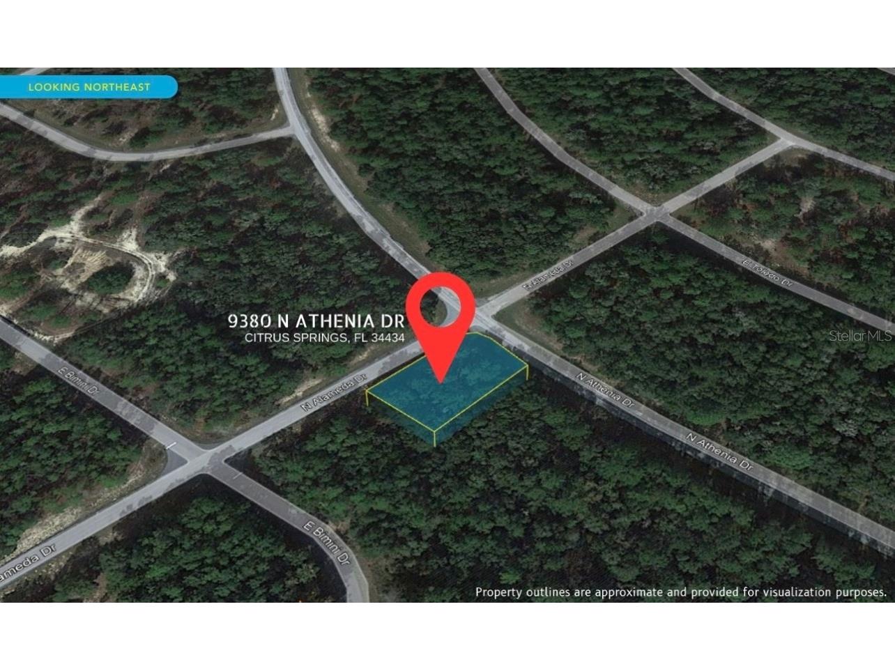 9380 N Athenia Drive Citrus Springs FL 34434 W7865468 image1