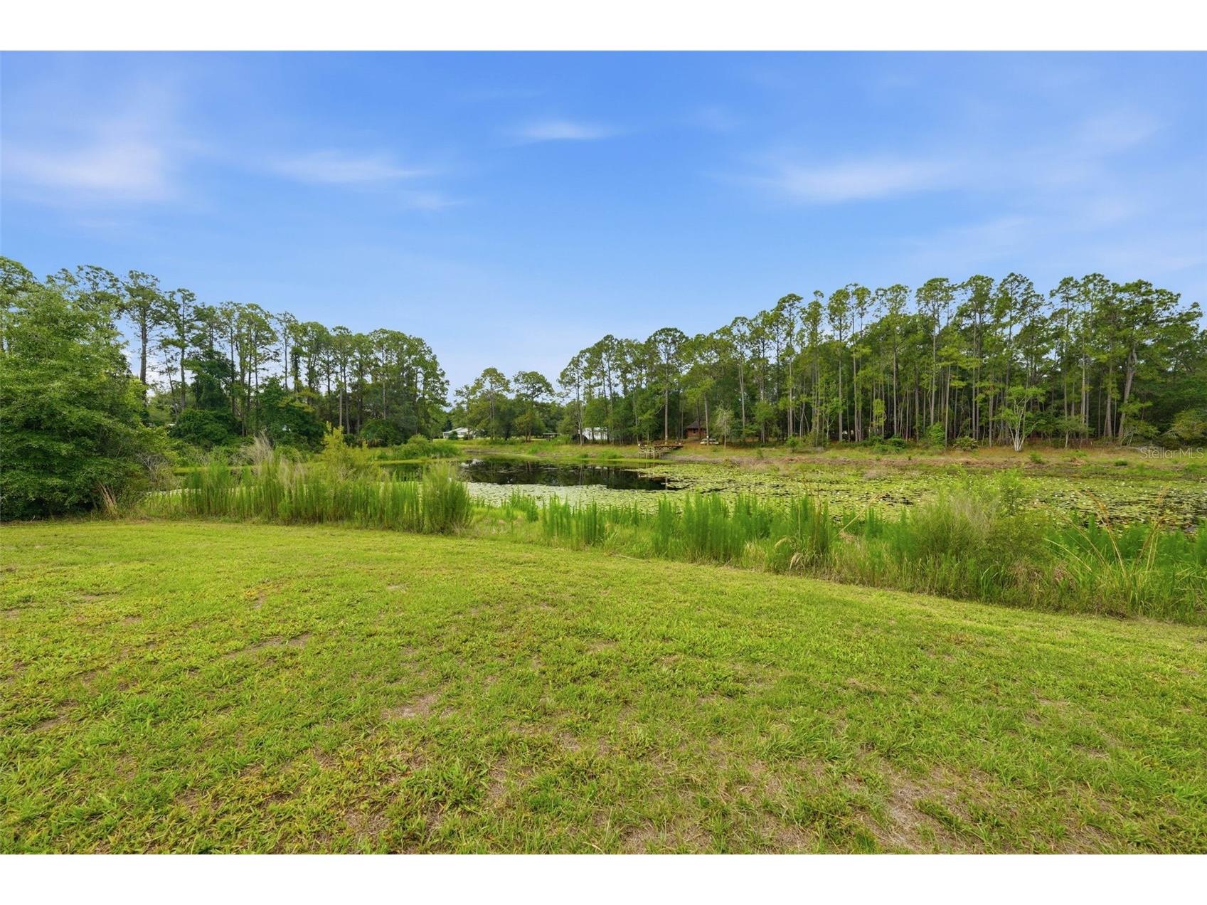 9380 N Cedar Cove Road Dunnellon FL 34434 OM726309 image12