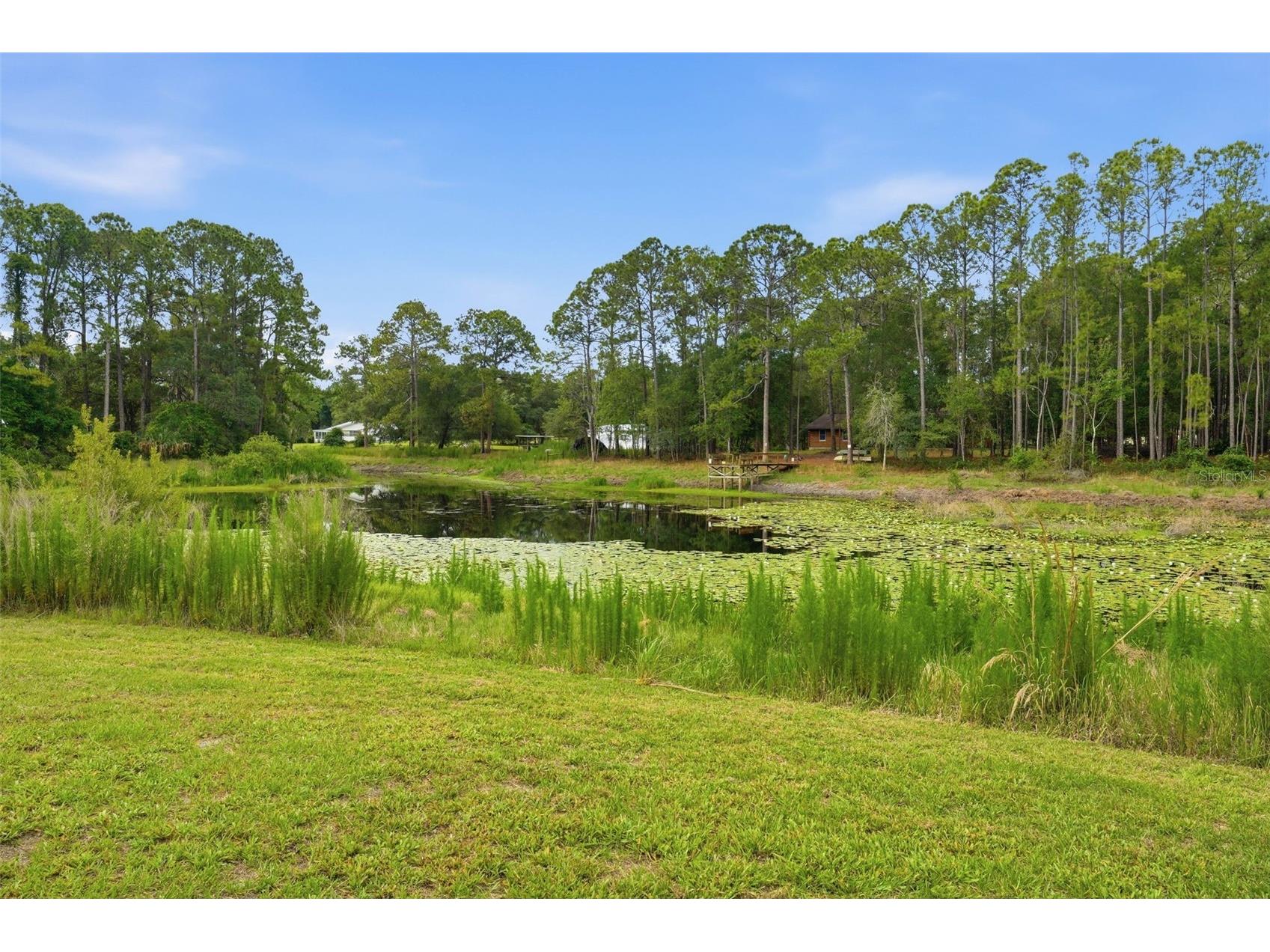 9380 N Cedar Cove Road Dunnellon FL 34434 OM726309 image13