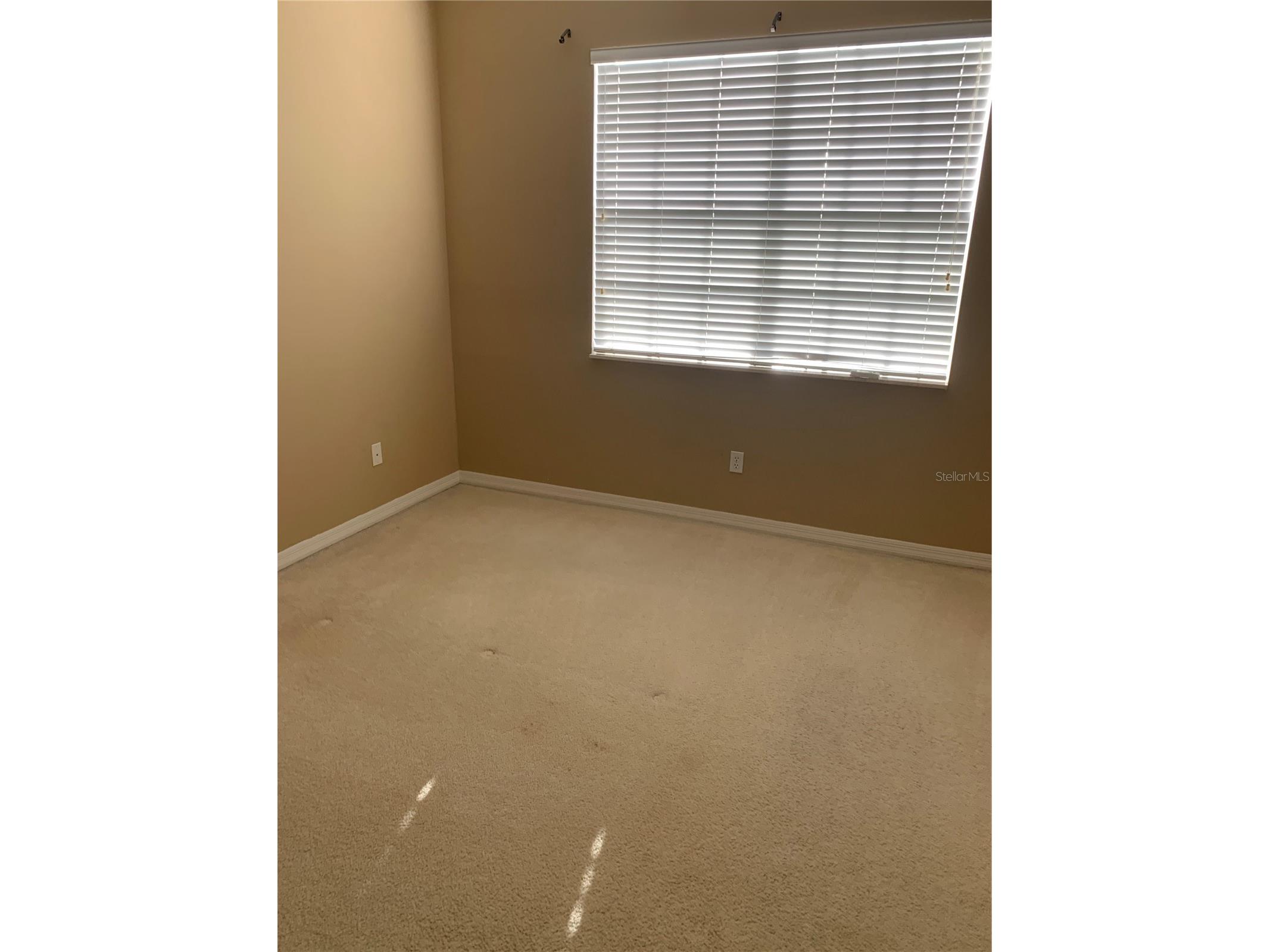 9381 Jasmine Flower Lane #168 Orlando FL 32832 S5150679 image15