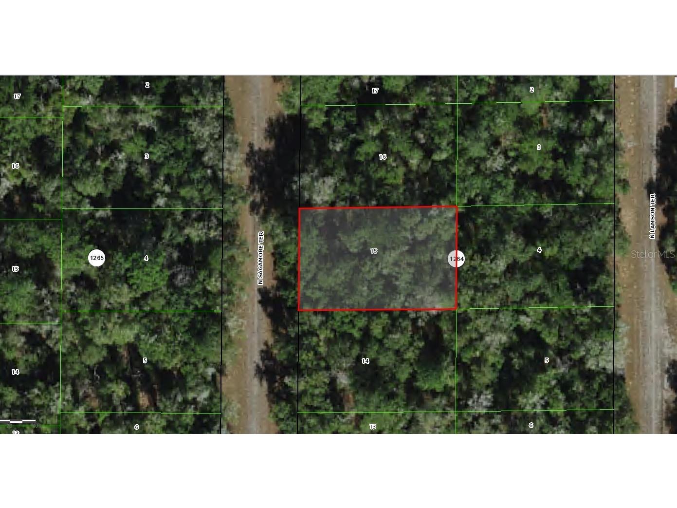 9381 N Sagamore Terrace Dunnellon FL 34434 OM703338 image1