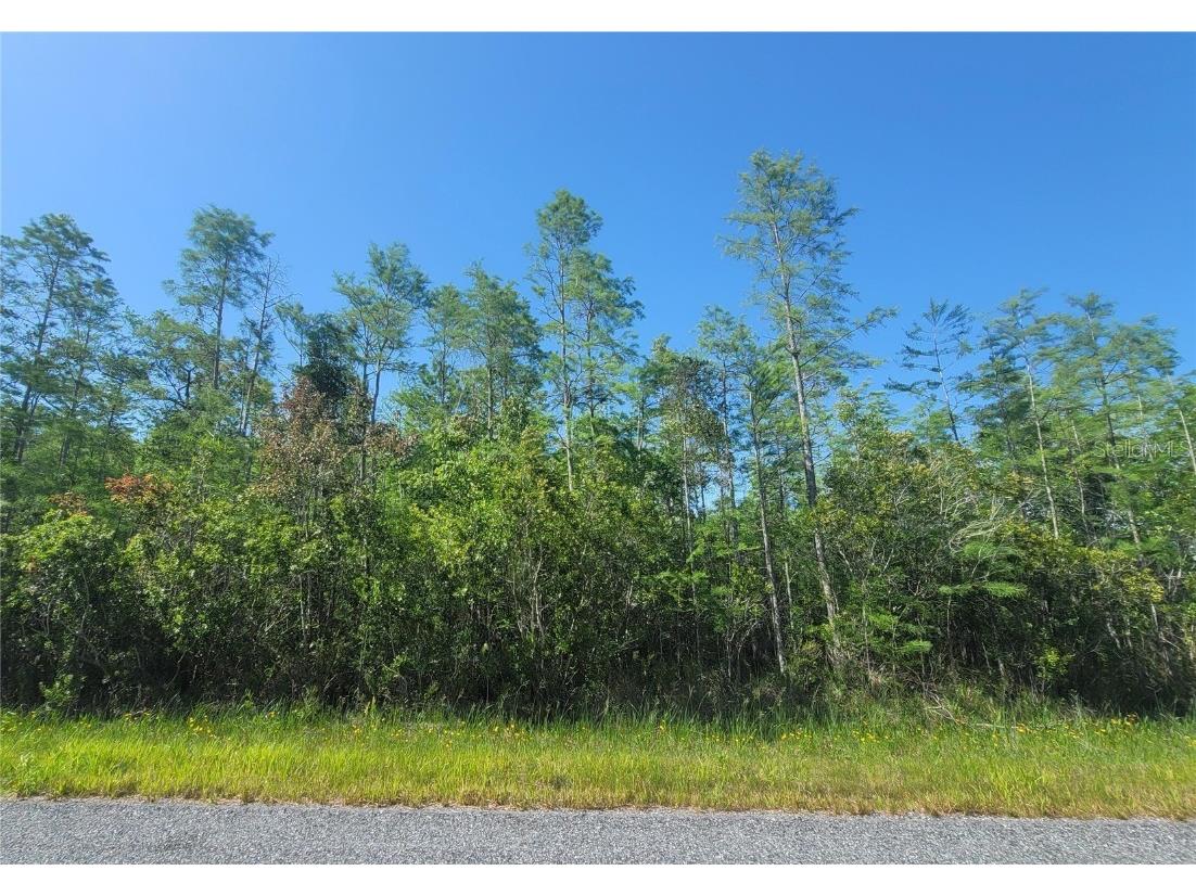 9385 Atlanta Drive Saint Cloud FL 34773 O6128985 image1