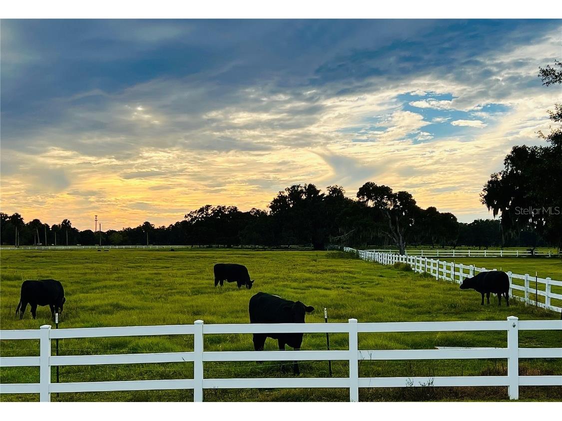 9387 SE 47th Way Webster FL 33597 G5103424 image18