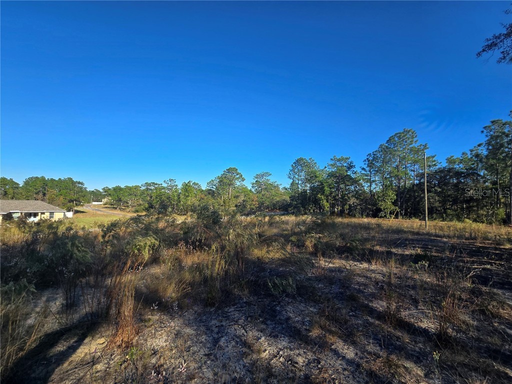 9388 N Old Mill Way Citrus Springs FL 34433 OM712746 image2