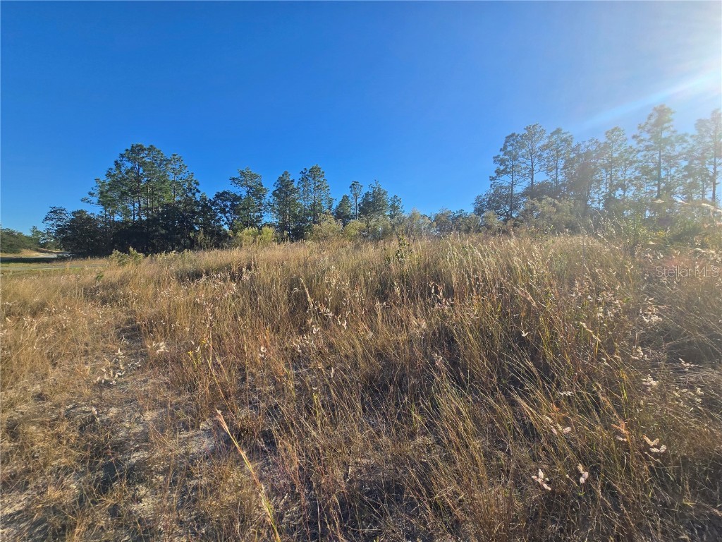 9388 N Old Mill Way Citrus Springs FL 34433 OM712746 image8